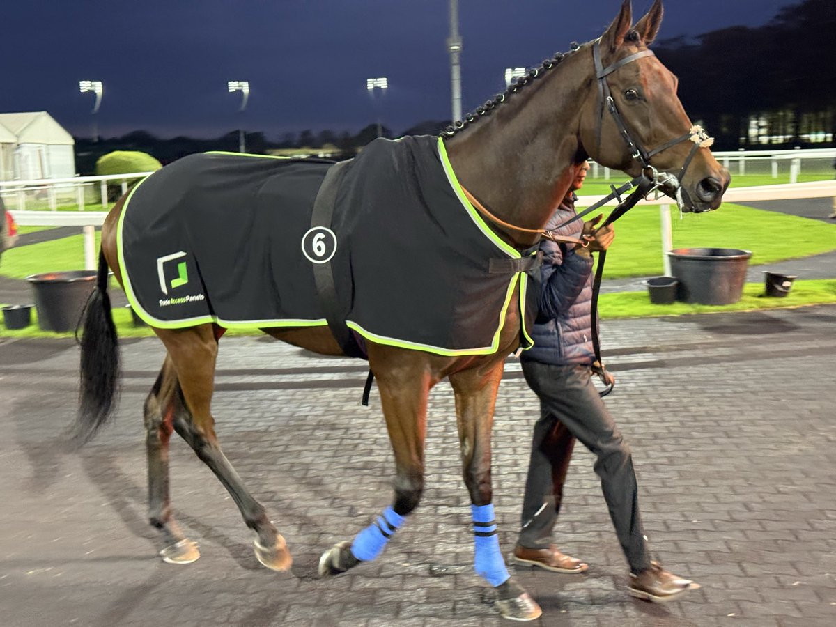 MattyHopkins1's tweet photo. Great evening @ChelmsfordCRC with @ValueRacingClub. Buxted Reel “Ted” battled brilliantly to win well with a great ride from @Luke_Morris88. Well done @tflacey and team! 
Later on Rascal Recknell ran another cracker in 2nd just loosing out in the final strides. @MickApplebyUK https://t.co/dIeJH7anYV