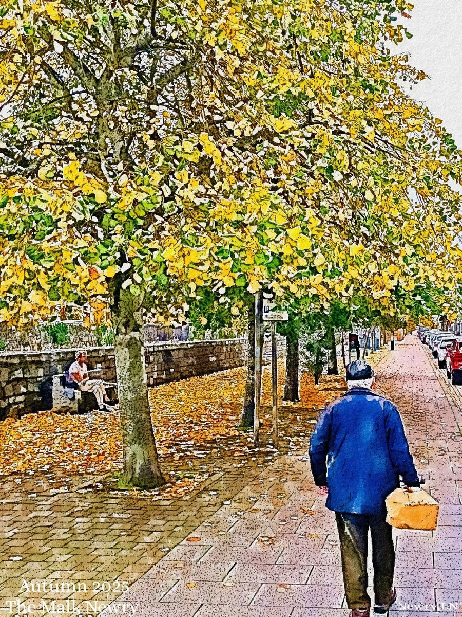 Autumn 2025, The Mall, Newry 🎨 🍂