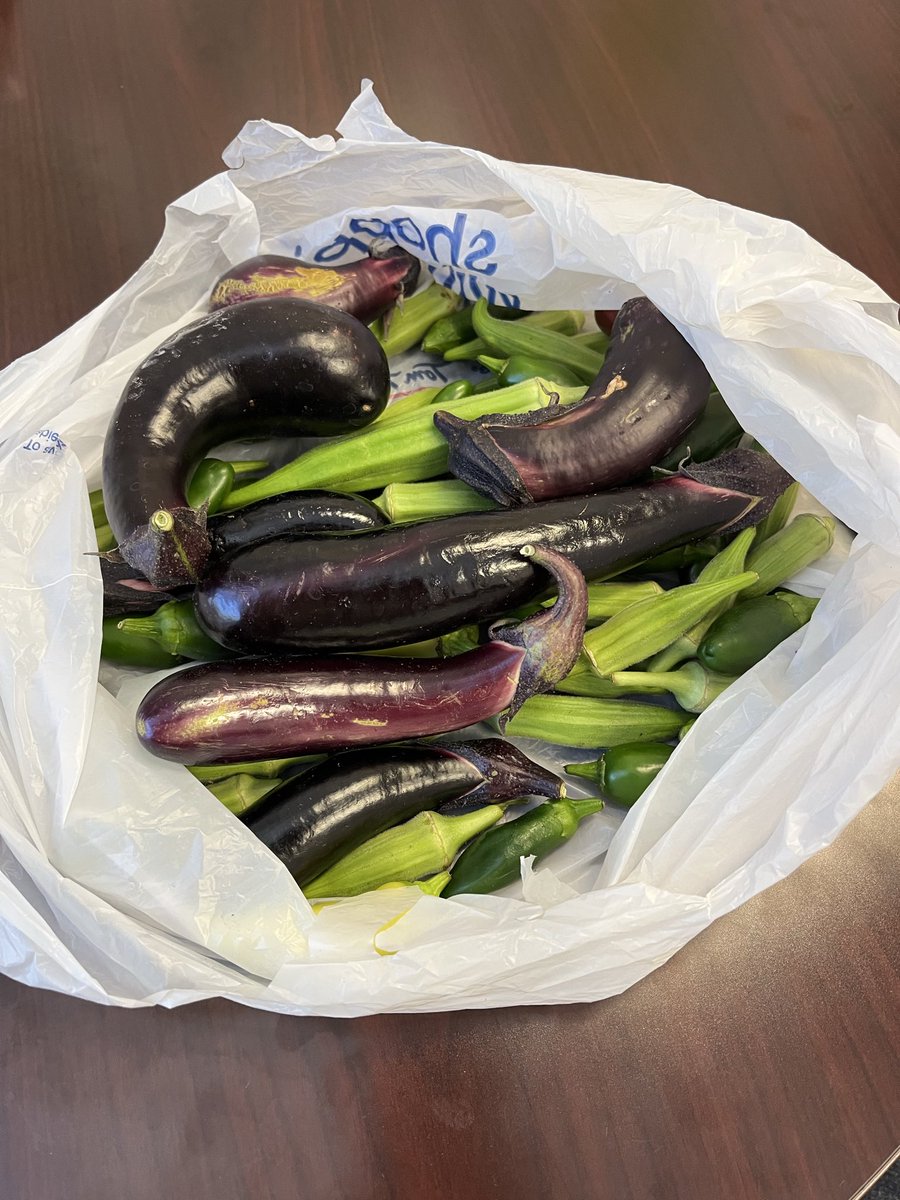 Jennifer Watson, M. Ed. tweet media