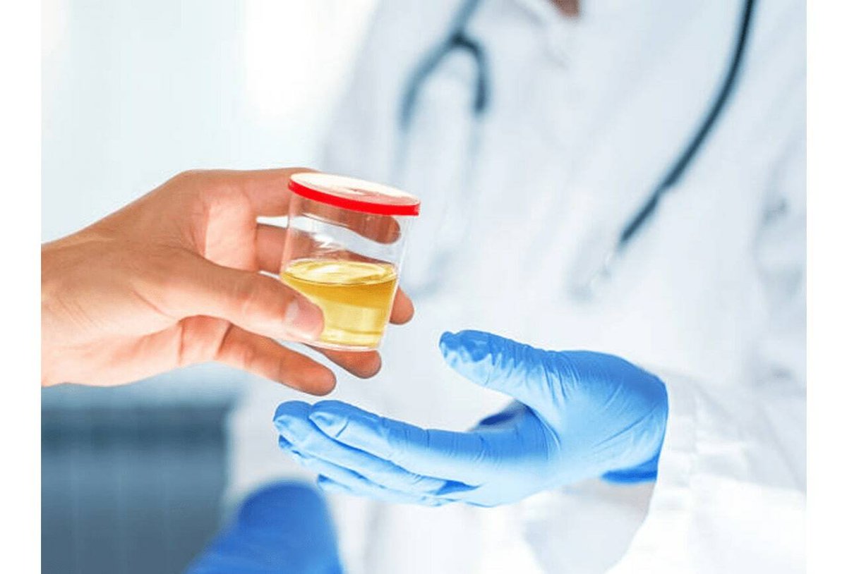 Quickfixpee's tweet image. Quick Fix 6.4 = Refinement, not replacement.
pH • Uric Acid • Density → Refined for precision.
✅ Spectrum Labs – Verified 6.4 Formula

#QuickFix #VersionFacts #SpectrumLabs