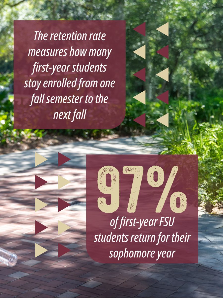 Student success starts strong and stays strong at FSU! 💪

97% of first-year students return for sophomore year, placing FSU among the top four public institutions nationwide for retention.

#FSU30 #NewNole