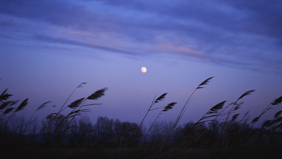 Irene Kiwia tweet media