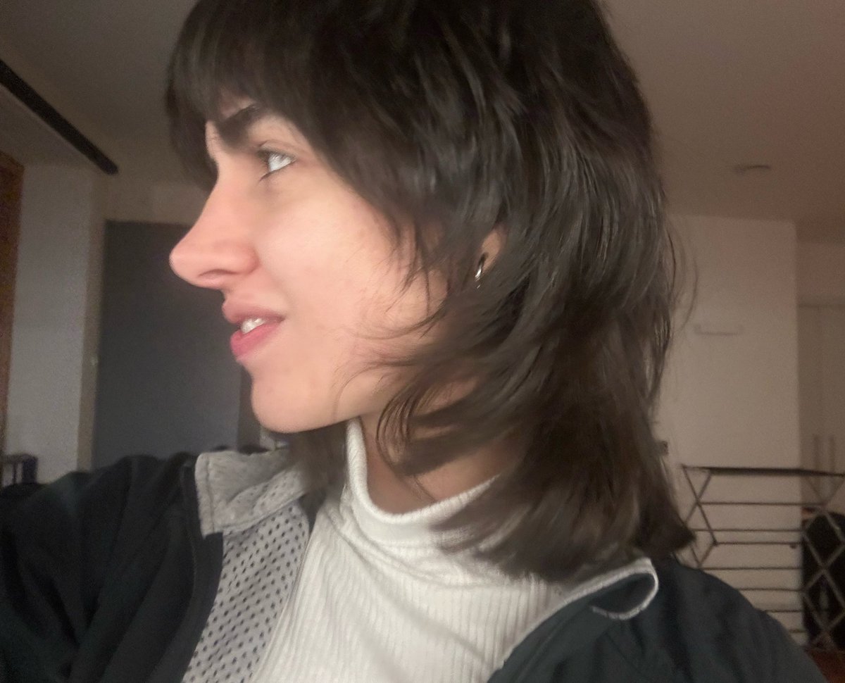 I gave vague instructions to the hairdresser and they left me looking like non binary demi lovato