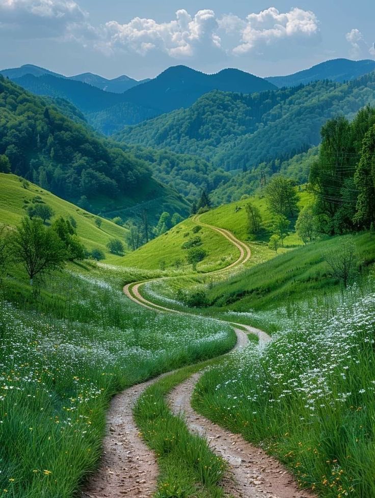 greendreamvibes's tweet image. 