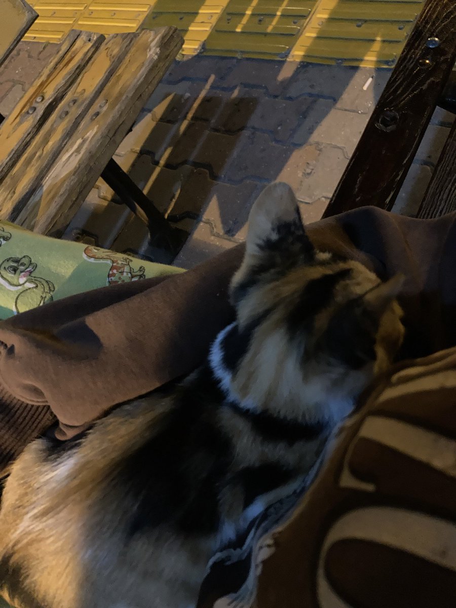 Sen de anneni çağır