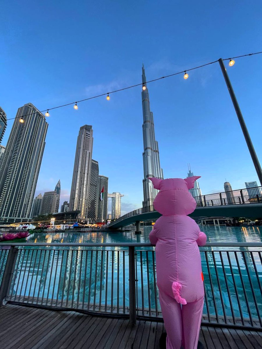 JediMasterRise's tweet photo. @CryptotwitsHQ COMMUNITY IS EVERYTHING!

Without them we would have nothing…no purpose to exist.

Our community gives us a reason to build and show up everyday.

We are working hard to make them proud! 🫡

@piggycoinbsc is more than a community…we are family!

Team member in a pig suit ⬇️ 😂 https://t.co/4Ea1AgdaNn