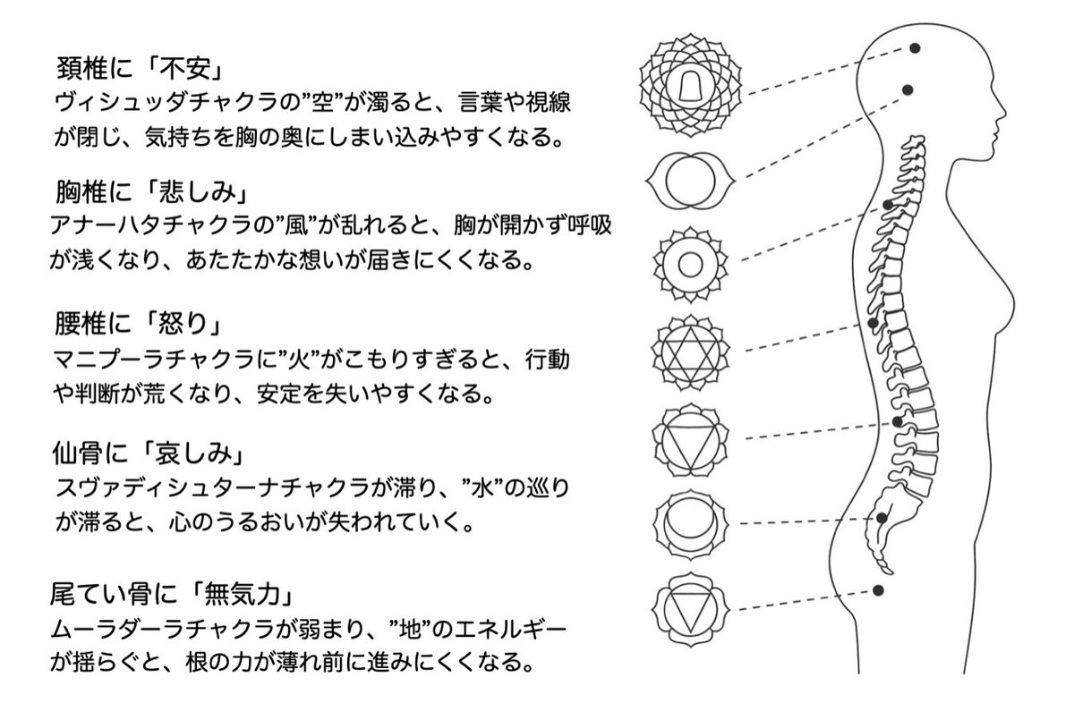 ma_minimum's tweet photo. 背骨には、
言葉にならなかった感情が眠っている。

背骨の流れをととのえることは、
感情の流れをととのえること。

今日は、「腰椎と怒り」のお話です。 https://t.co/EINGizZOCH