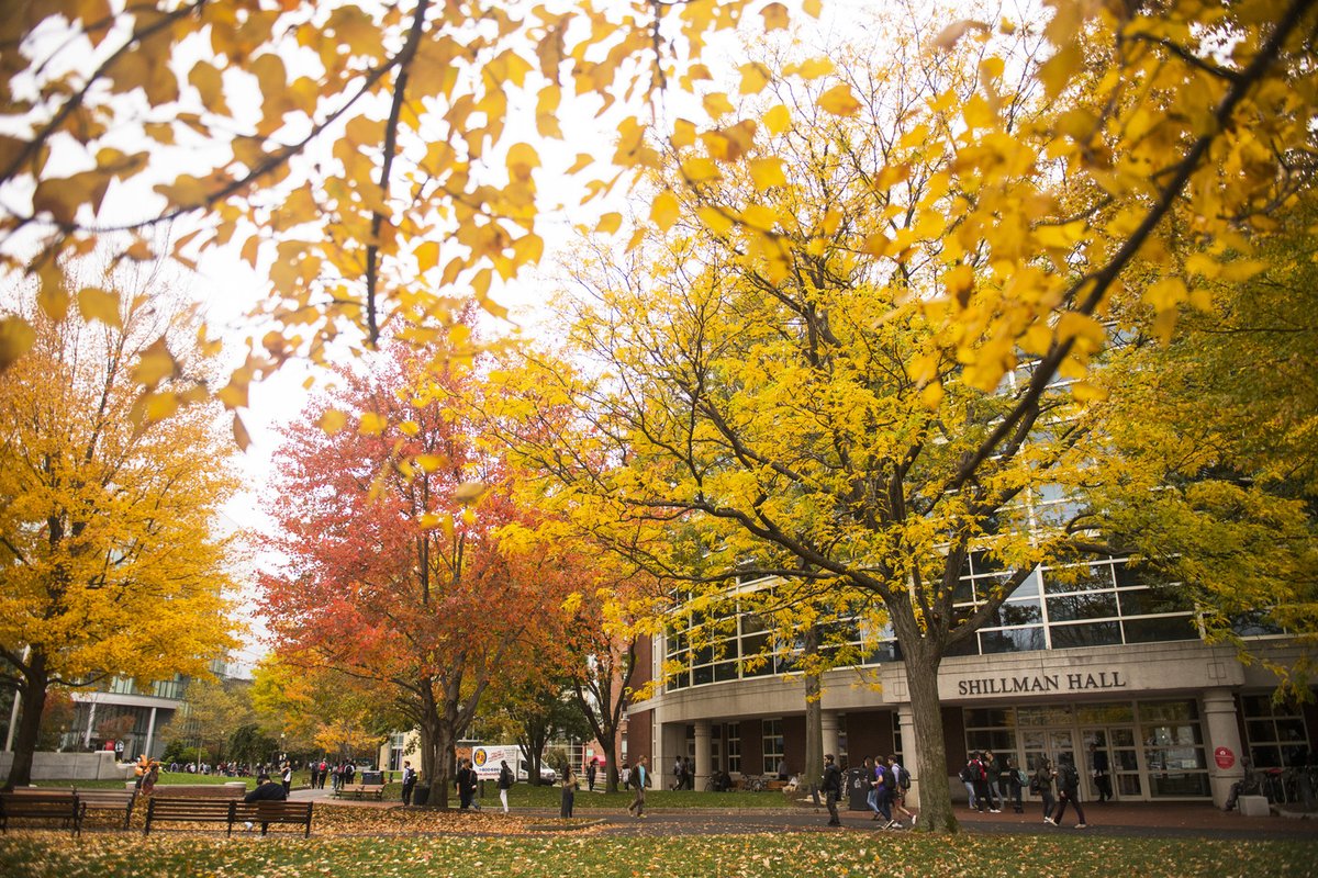Northeastern's tweet image. Patiently waiting for the foliage to start foliaging