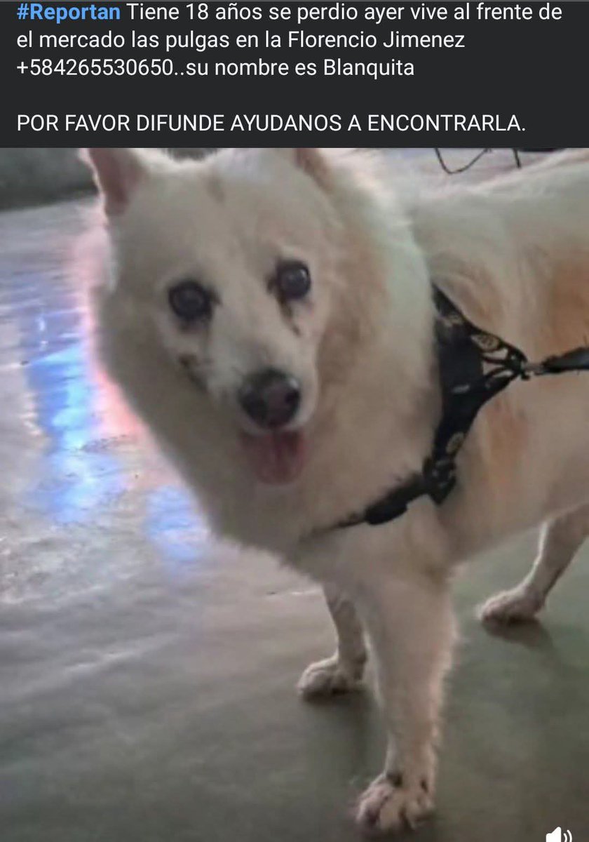 Barquisimeto la buscan 🙏