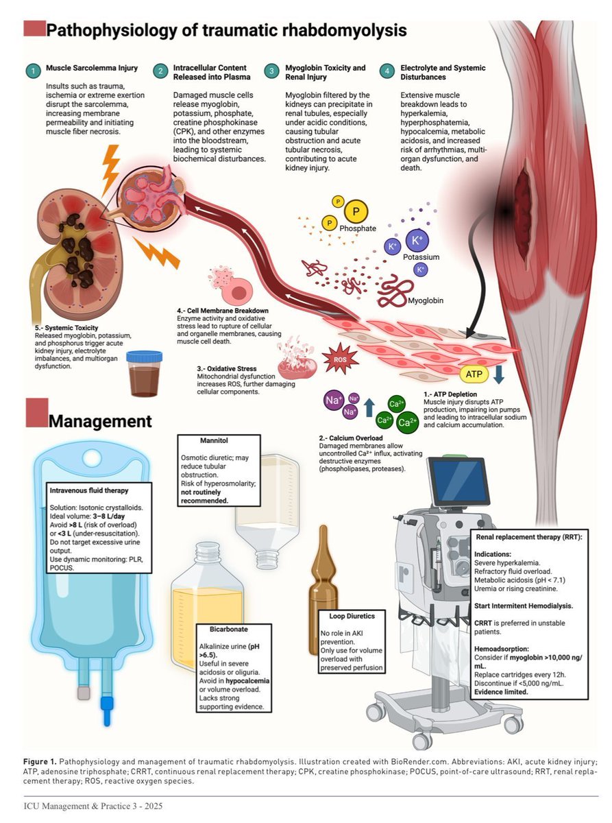 Dr.Marlon Villanueva™ 🩺 𝕏 tweet media