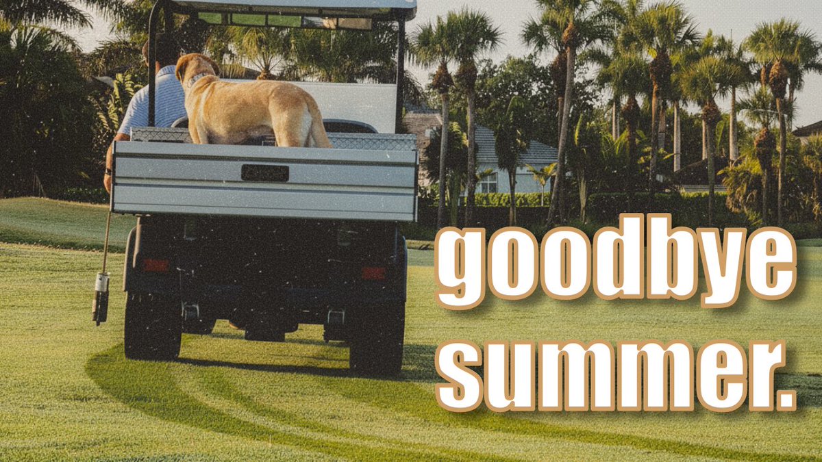 Gabe Gallo tweet media