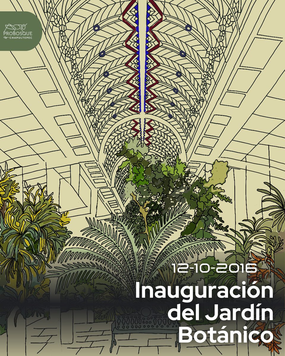El Jardín Botánico de Chapultepec se reinauguró un día como hoy de 2016 🌸🌿
Fue renovado con humedales, viveros, espejos de agua y zonas didácticas con el trabajo de Plantando con Causa A.C. botánicos, paisajistas y biólogos.
¿Conoces este santuario de orquídeas?  🌎✨