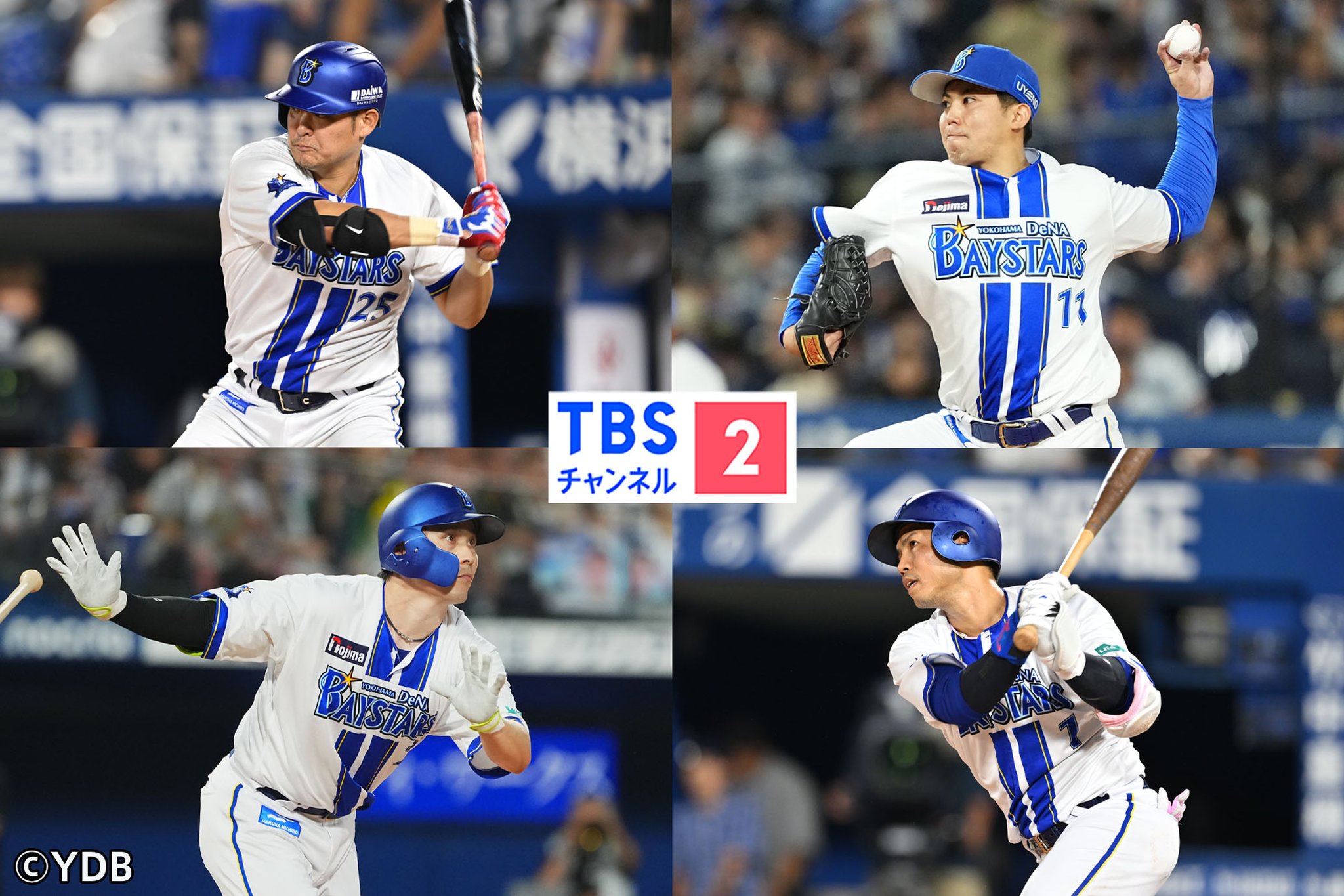 TBSチャンネル on X: 