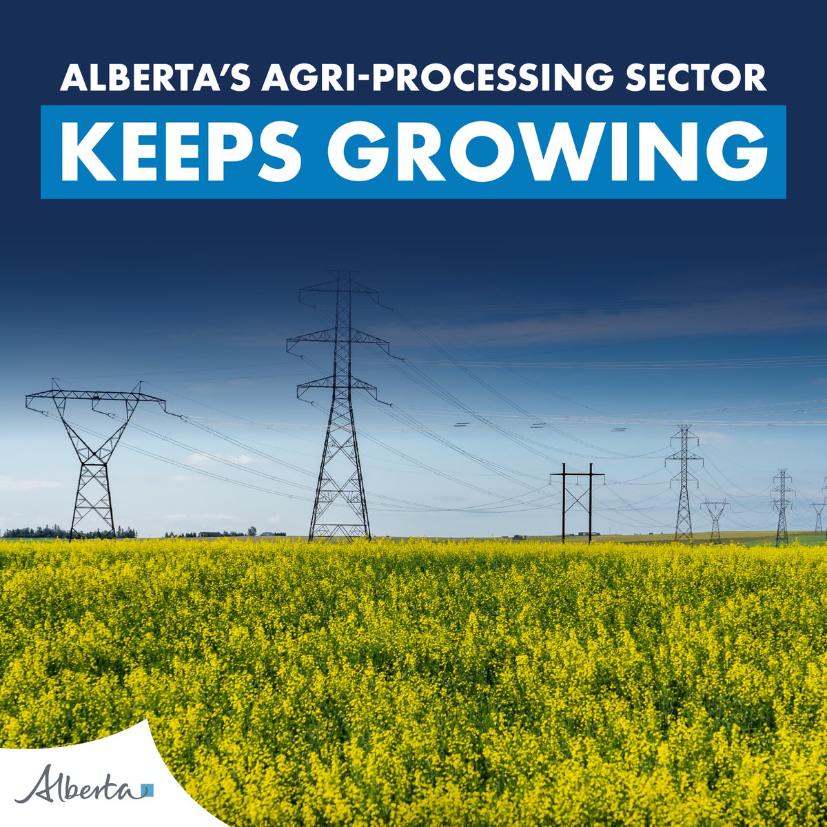RjSigurdson's tweet image. 🌾Alberta’s agriculture sector continues to grow! 

G.S. Dunn Limited is investing $30 million to expand its mustard milling facility in Bow Island, supported by a $3.1 million Agri-Processing Investment Tax Credit.

This project means 34 new jobs, increased demand for western…