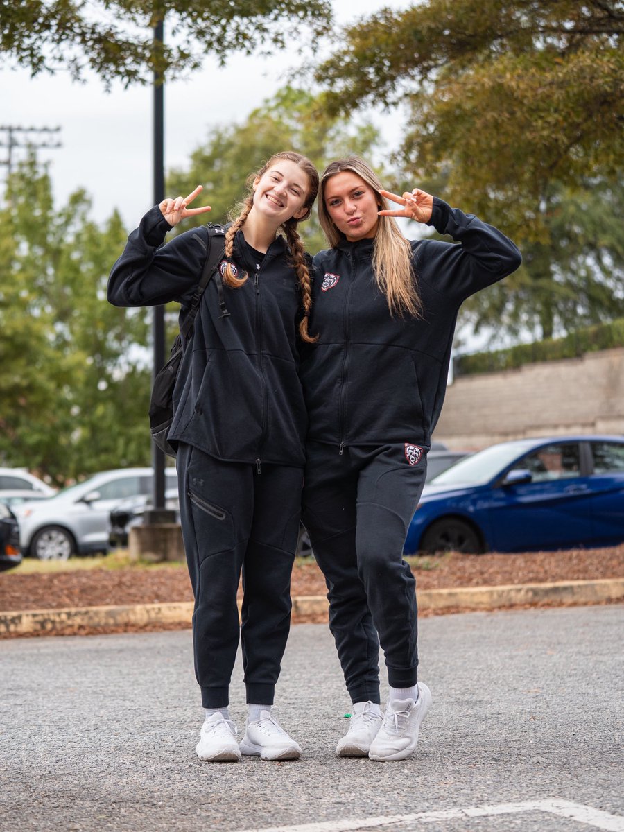 MercerBearsVB tweet media