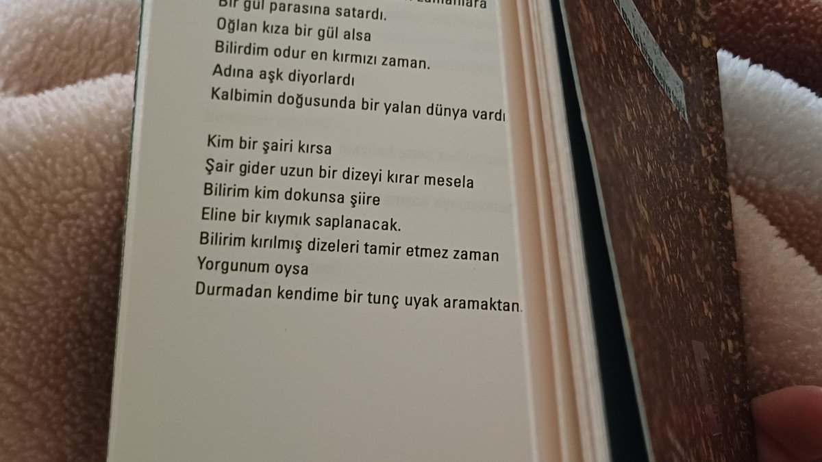 Soğuk günlerde şiir okumak gibisi yok , özlemişim.