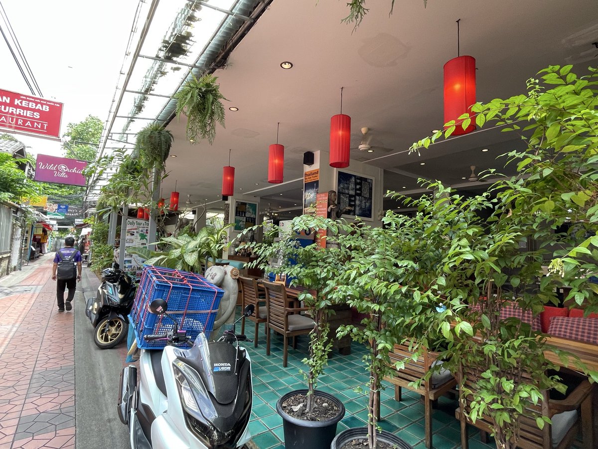 king_mayumi tweet media