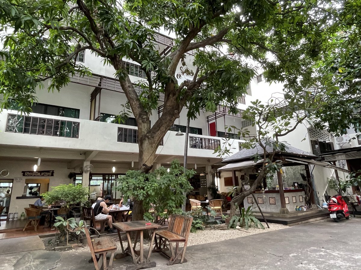 king_mayumi tweet media