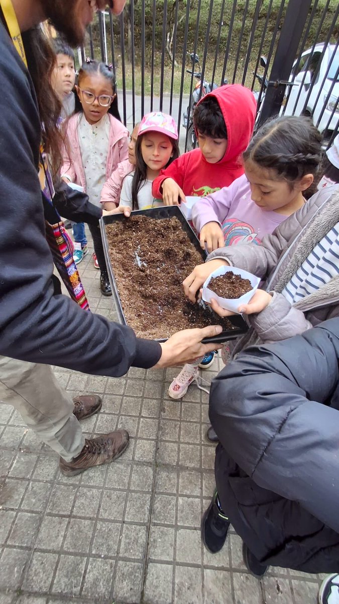BibloRedBogota's tweet photo. En la Biblioteca Pública La Peña 📚 celebramos una hermosa jornada de Bibliovacaciones en la que niñas, niños y familias compartieron lecturas, saberes y memorias inspiradas en la tierra 🌱 y las semillas.A través de estas experiencias, reflexionamos sobre la paciencia, el cuidado y el tiempo que requiere toda forma de vida para crecer, al igual que lo hacen los jardines y las personas.