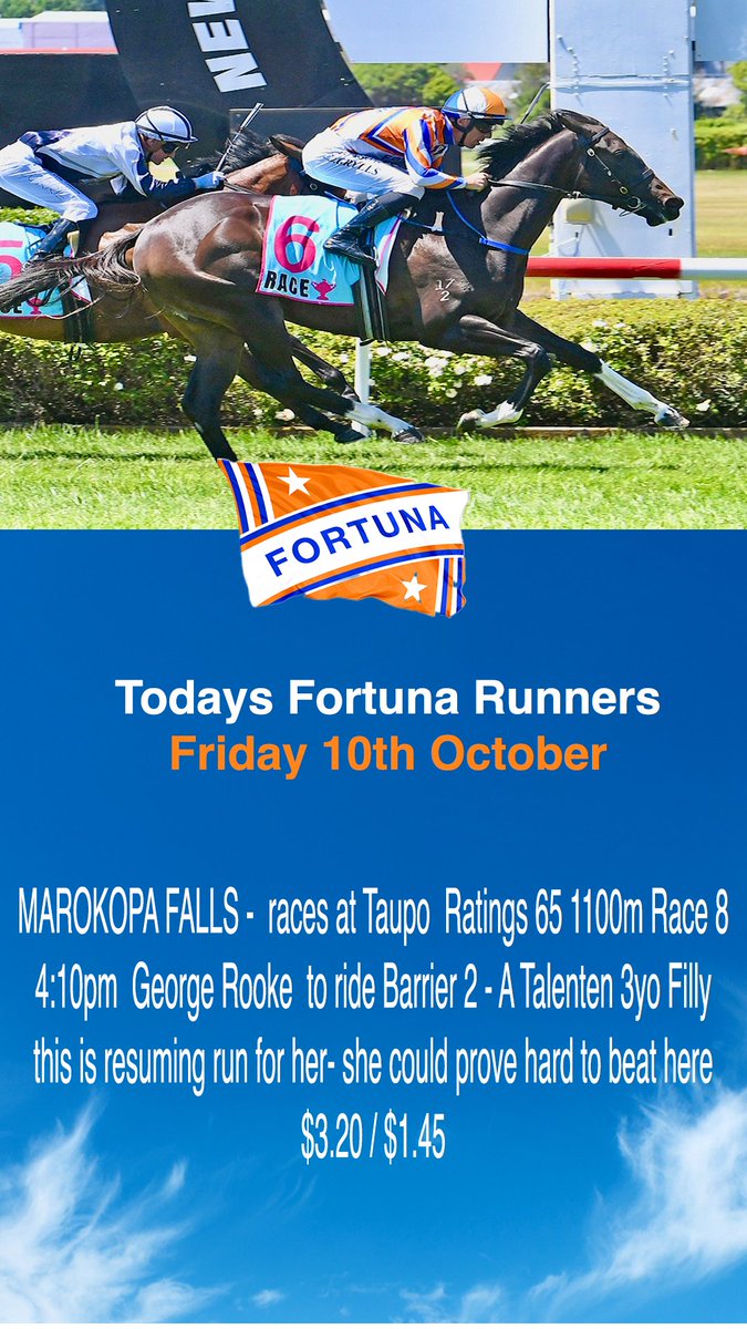 Fortuna Thoroughbred Racing tweet media