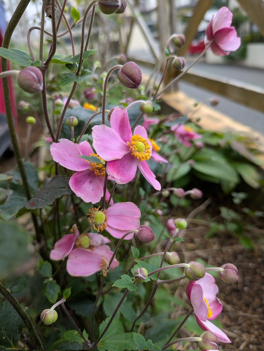 ちーちゃんページ ちーちゃん (@3tQy5nQ8gE0xzcG) / Posts / X