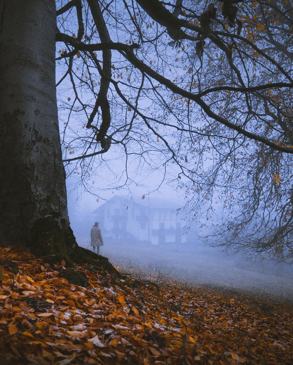 pancaucasus's tweet image. Bakuriani, Georgia

razahaza / IG