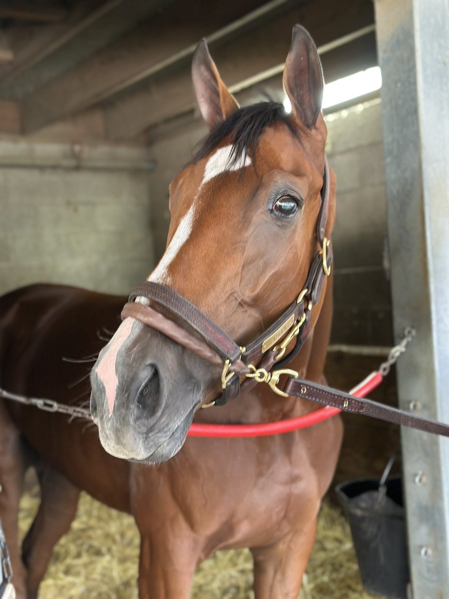 Cherie DeVaux tweet media