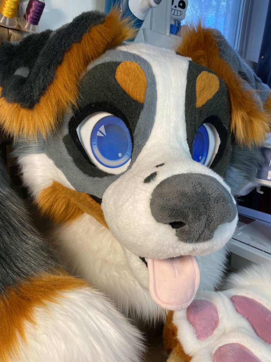 EVERYONE!!! SHUT UP AND 

say hi to puppy :3