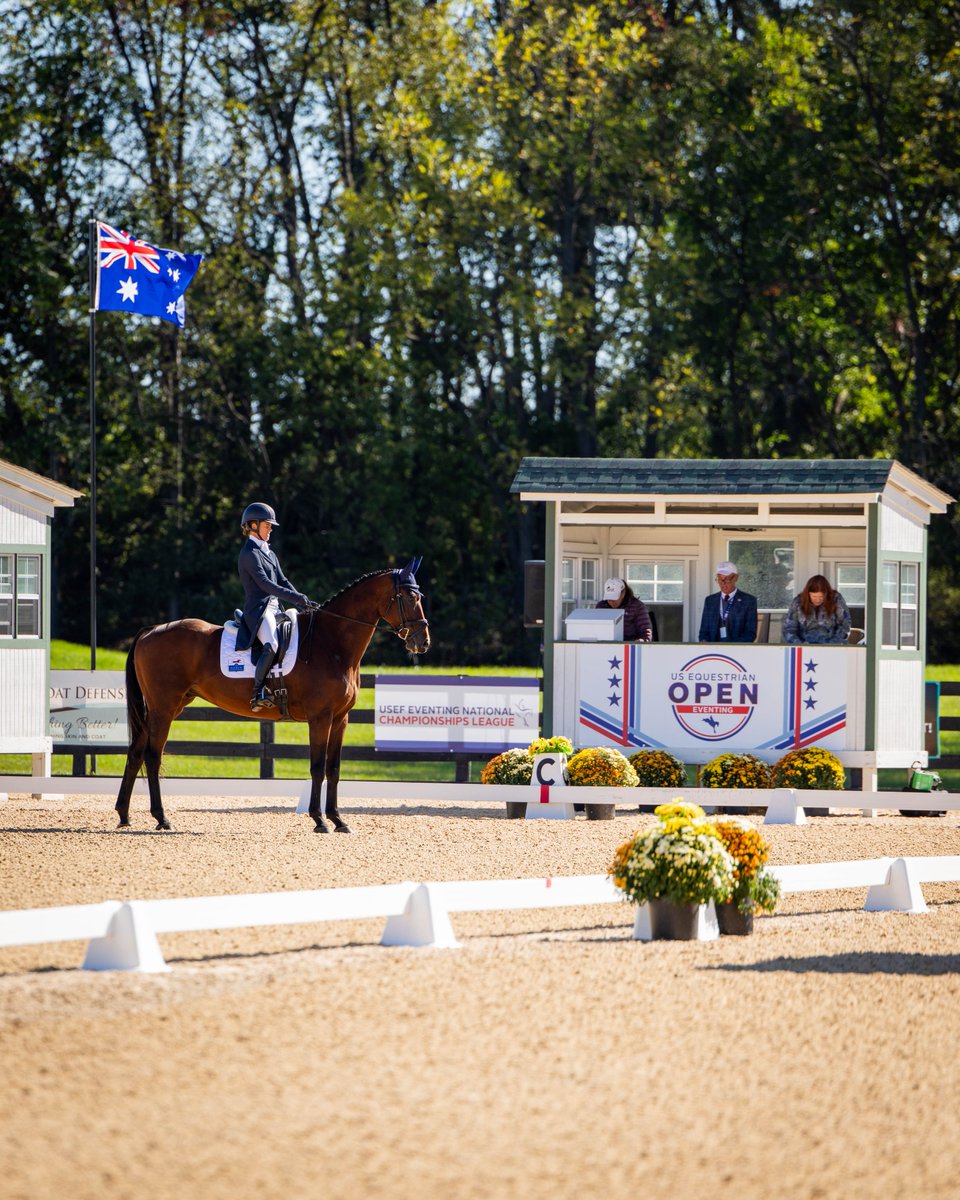 useqopen's tweet photo. Scenes from the first day of dressage at the U.S. Equestrian Open Eventing Final at Morven Park International Equestrian Center  ✨

🥇 Phillip Dutton &amp; Denim — 27.5
🥈 Elisa Wallace &amp; Lissavora Quality — 33.3
🥉 Ryan Wood (AUS) &amp; Cooley Flight — 33.4 https://t.co/ohOJqw4TeQ