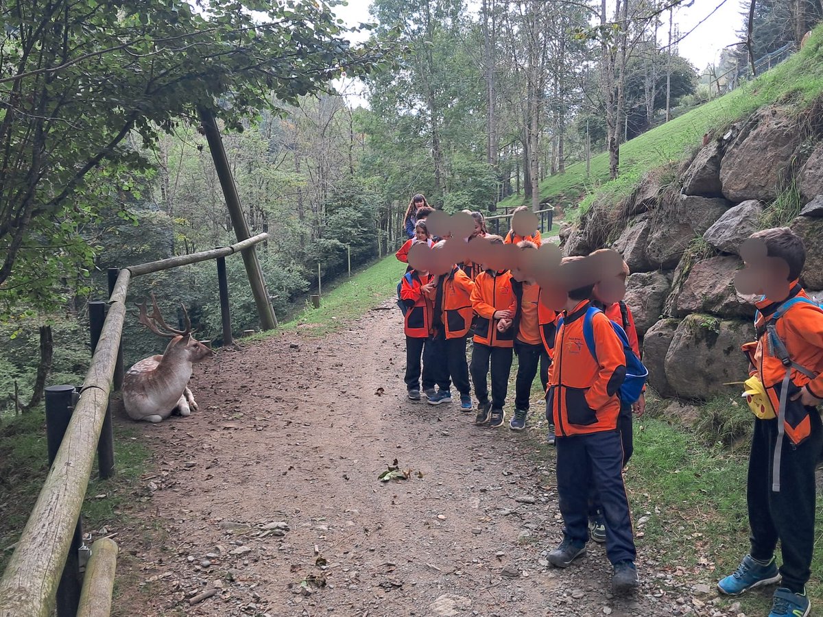 Les Gambes i els Crans hem viatjat fins a Camprodon! Hem visitat el Molló park i el poble de Camprodon. Hem fet un munt d’activitats!!! I demà més!!! @escola_domeny <a href="/educacio_gi/">#EducacióGirona</a> #viudomeny