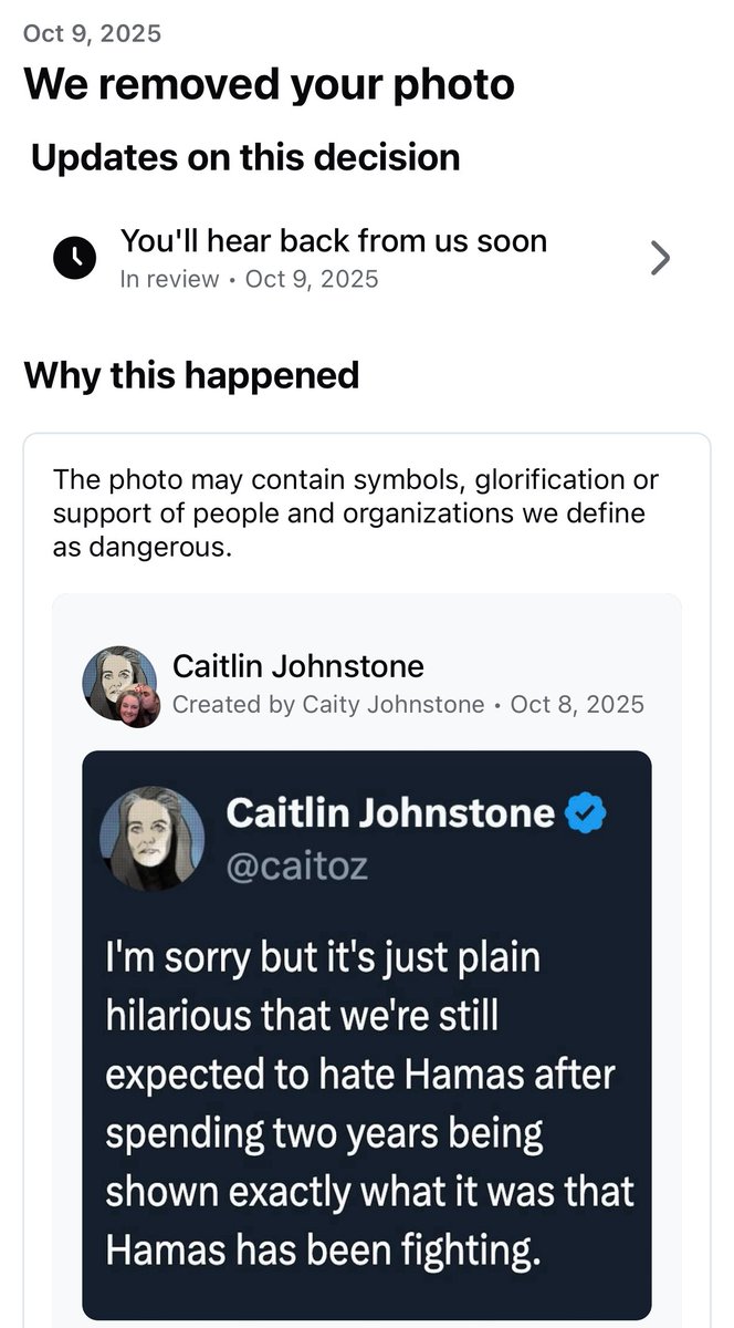 Caitlin Johnstone tweet media