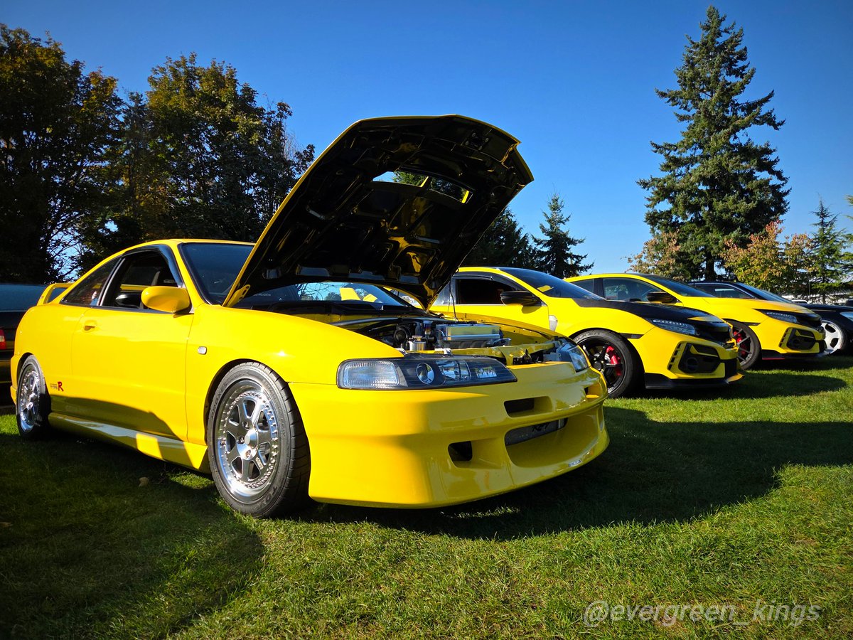 Evergreen Kings🌲 (@kingsevergreen) on Twitter photo 