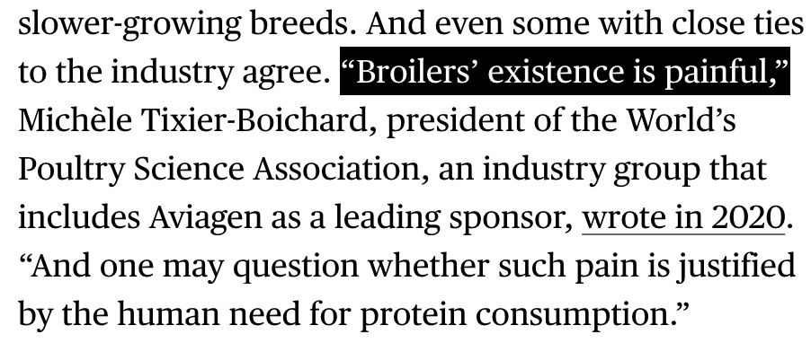 MartinVGould's tweet image. A striking quote in Bloomberg from the president of the World’s Poultry Science Association, an industry group, about modern meat chickens: