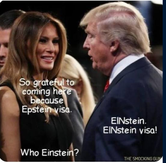 Brown Eyed Susan tweet media