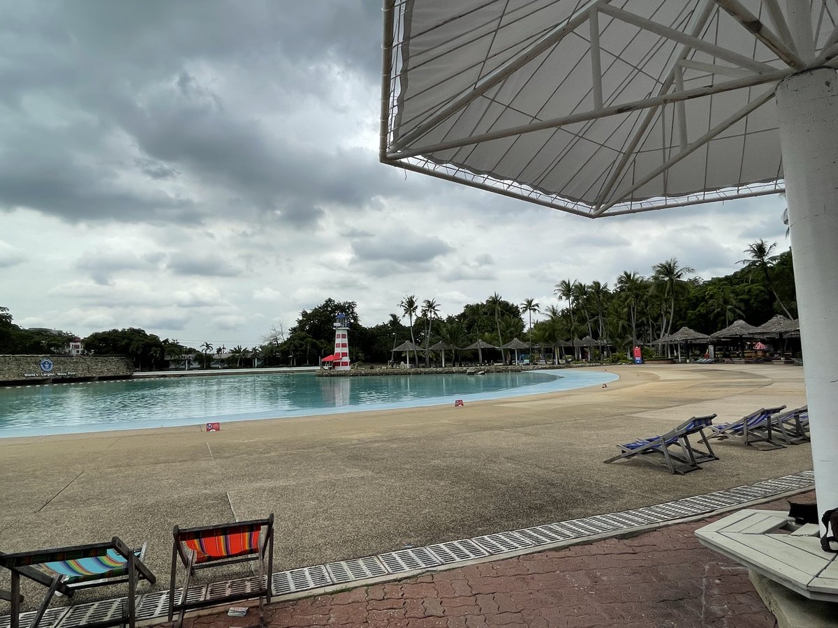 king_mayumi tweet media