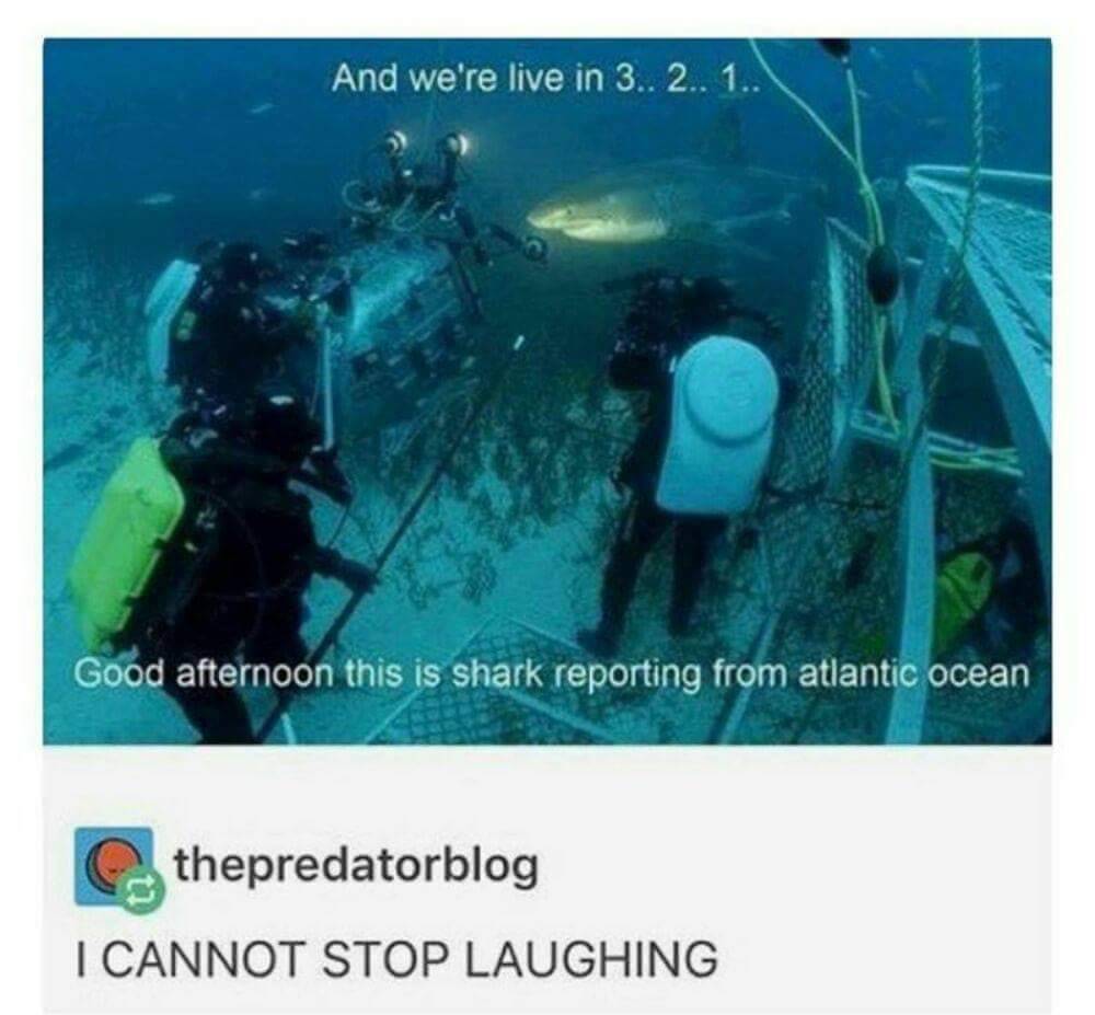 WholesomeMeme's tweet photo. https://t.co/IqaUB7ai2e