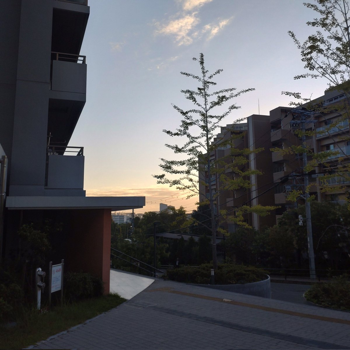 XmugLwwY8PlmunH's tweet photo. お早うございます🙂↕️
令和7年10月10日(金) 午前6時37分 大阪北部は晴れのち曇り☀️/☁、気温16.7℃
今日・明日は一泊二日の温泉♨️の旅
今朝の一枚
『華氏96度/サード・ワールド』(1977)
皆様、良い一日をお送り下さい😊👍
#イマソラ
#Third_World https://t.co/kxz2aNAteh