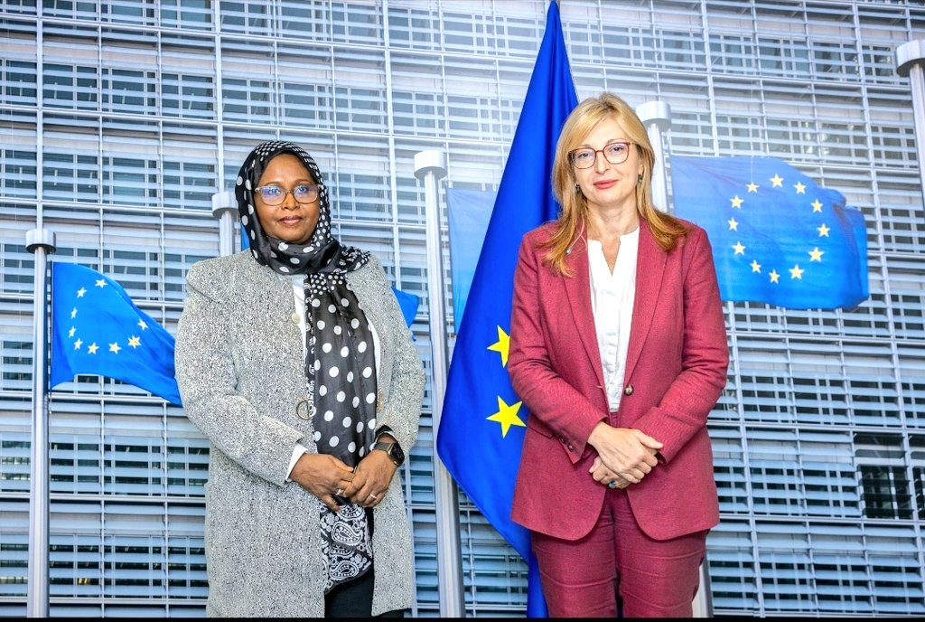 MENIDjib's tweet photo. En marge du Forum Global Gateway 2025,
Madame la Ministre @MariamHamadou1 Ali, a échangé avec Madame Ekaterina Zakharieva la Commissaire européenne à la Recherche et à l’Innovation.
1/3 https://t.co/5pFjqL79qx