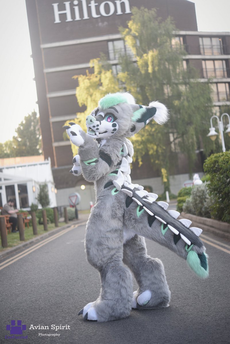 spiritavian's tweet image. Now they are OFFICIALLY live, here's a few shots from ConFuzzled 2025. With what I could get before my camera baby decided to pack up...
Ft. @Matrix_UK , @KIGENSABER , @UAddictionz &amp;amp; @RunningRiot4798 

photos.confuzzled.org.uk/confuzzled-2025
#FursuitFriday