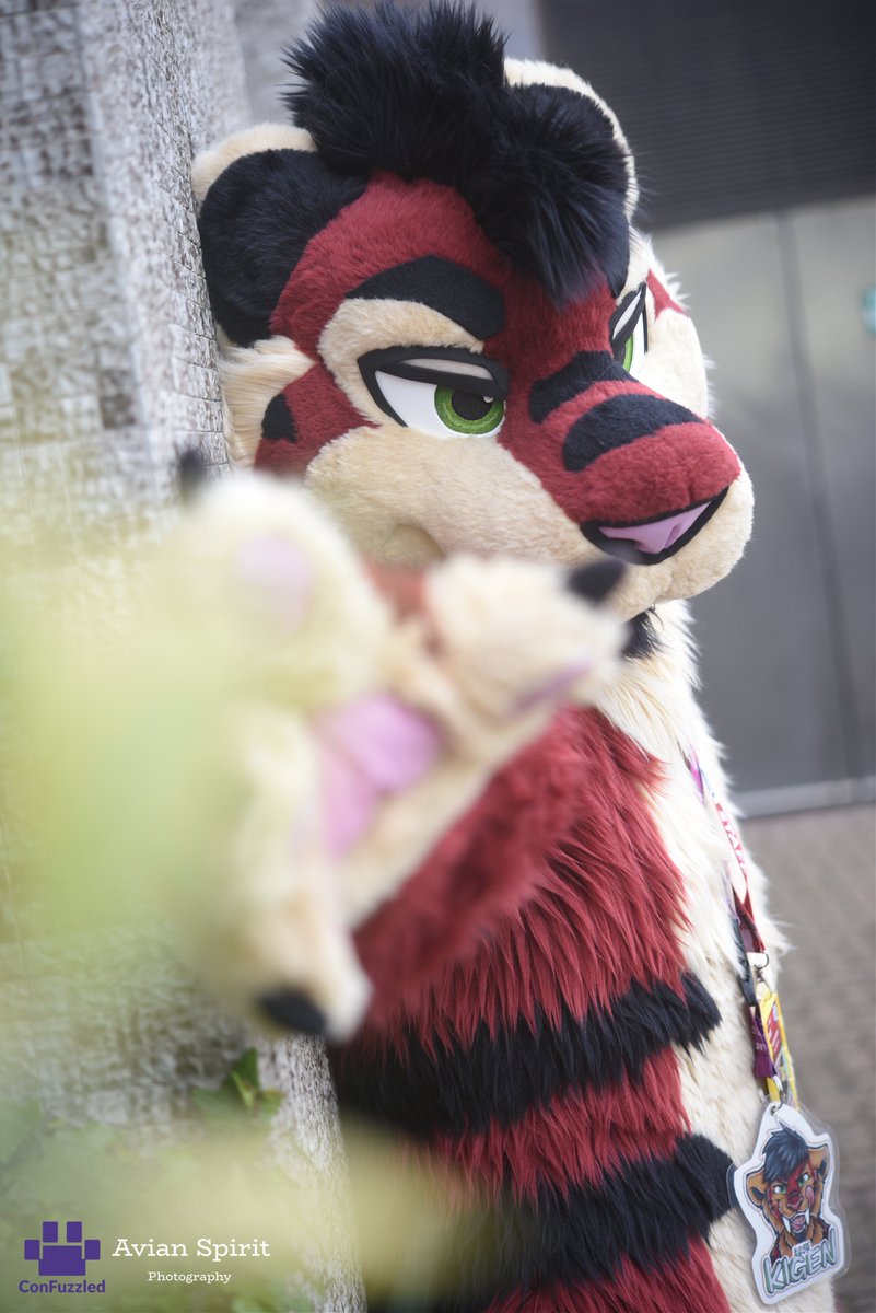 spiritavian's tweet image. Now they are OFFICIALLY live, here's a few shots from ConFuzzled 2025. With what I could get before my camera baby decided to pack up...
Ft. @Matrix_UK , @KIGENSABER , @UAddictionz &amp;amp; @RunningRiot4798 

photos.confuzzled.org.uk/confuzzled-2025
#FursuitFriday