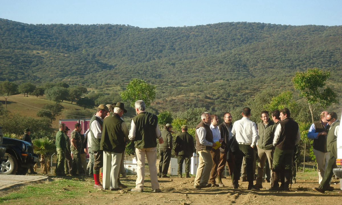 Esto empieza....¡ya!
#cazamayor #monteríaespañola