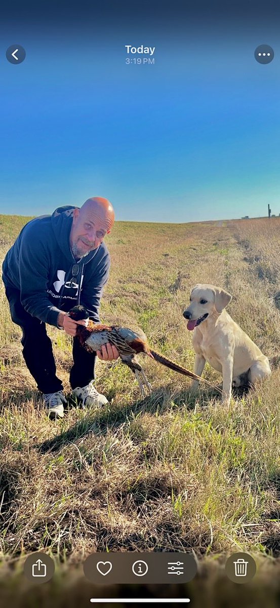 North 40 Cannabis tweet media