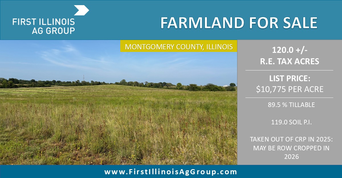 FirstIllinoisAg's tweet photo. First Illinois Ag Group is pleased to offer 120.0 +/- acres of Montgomery County farmland. Located 3 miles south of Nokomis, IL. $10,775 per acre.  

Please contact Bruce Huber at 217-521-3537 or visit our website at https://t.co/EXA8Je4Vh2 for more information. https://t.co/PVMX5Fat5n