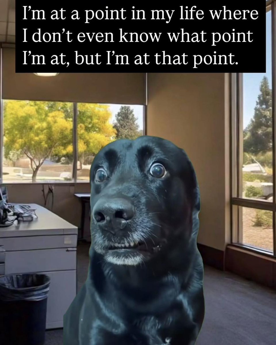 Karin C. (Häsele) 🐰 (@karinchris19) on Twitter photo 