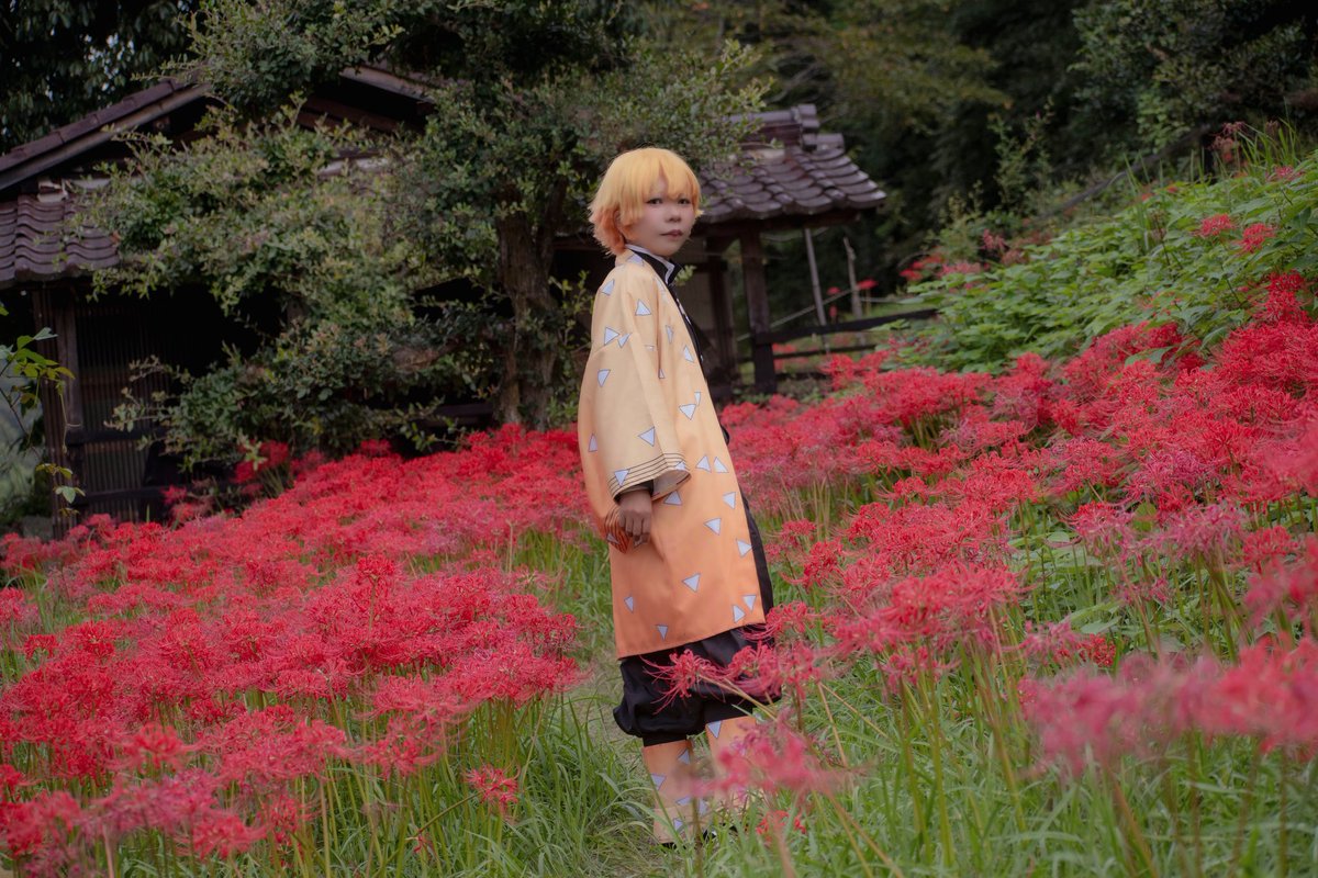 kmt/cos
我妻善逸⚡

Photo:<a href="/nj_sariing/">さり@倉イオ両日</a>