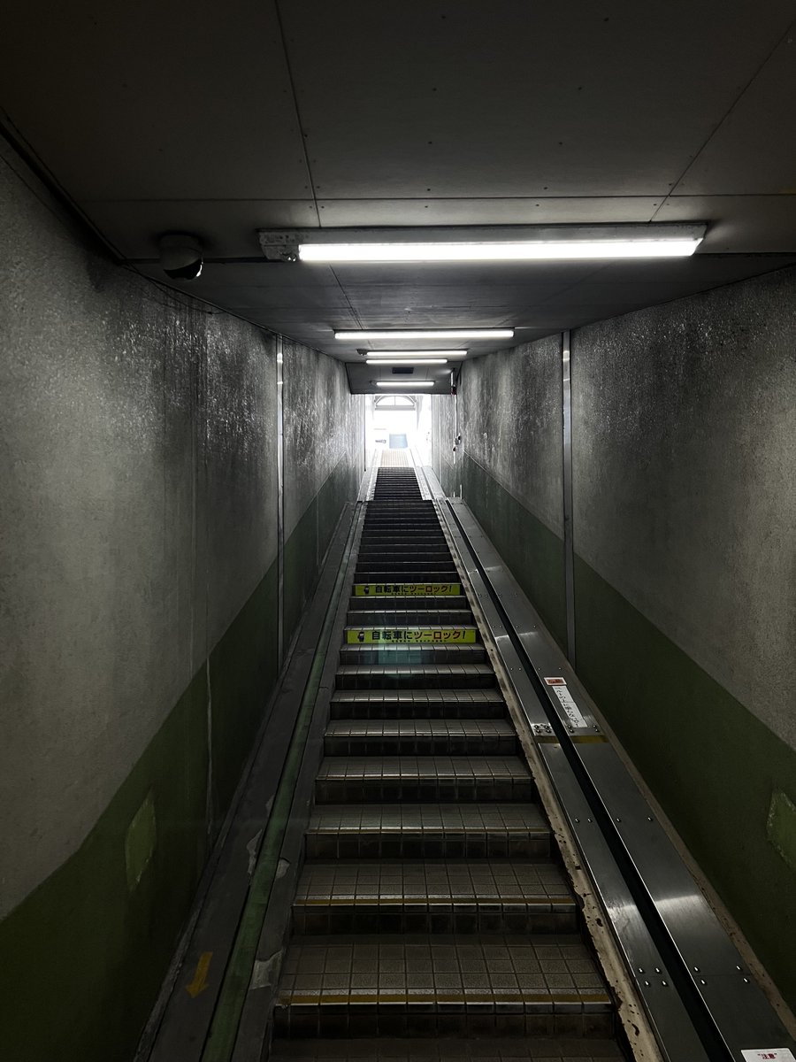 g_u_u_3's tweet image. Day 2…