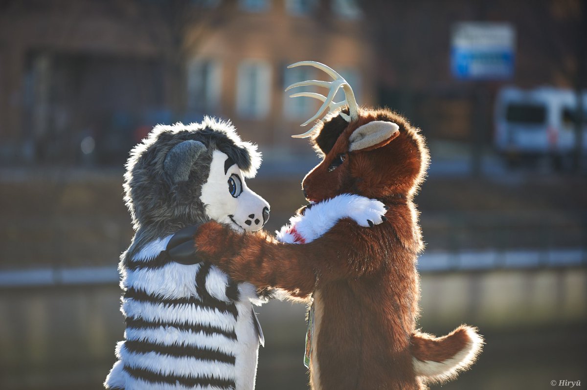 WhhiteLionn's tweet photo. Happy anniversary relationship sweetheart @DeerLeroy❤️.

It's been exactly four years. 🥹

You are always with me when I am in difficult situations. 🫠

The challenges we have gone through together. 🧑‍🤝‍🧑

 You were there for me. ❤️

📷@HiryuTheDragon https://t.co/xOX8d0Fane