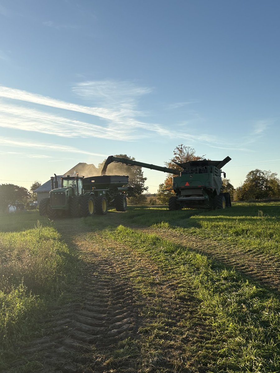 mikepearson89's tweet image. It’s the bin load we all been waiting for… the last one of soybean harvest. We seen the good the bad and the ugly, but are quite thankful for what we got. With ⁦@Pearson_Farms⁩ #ontag