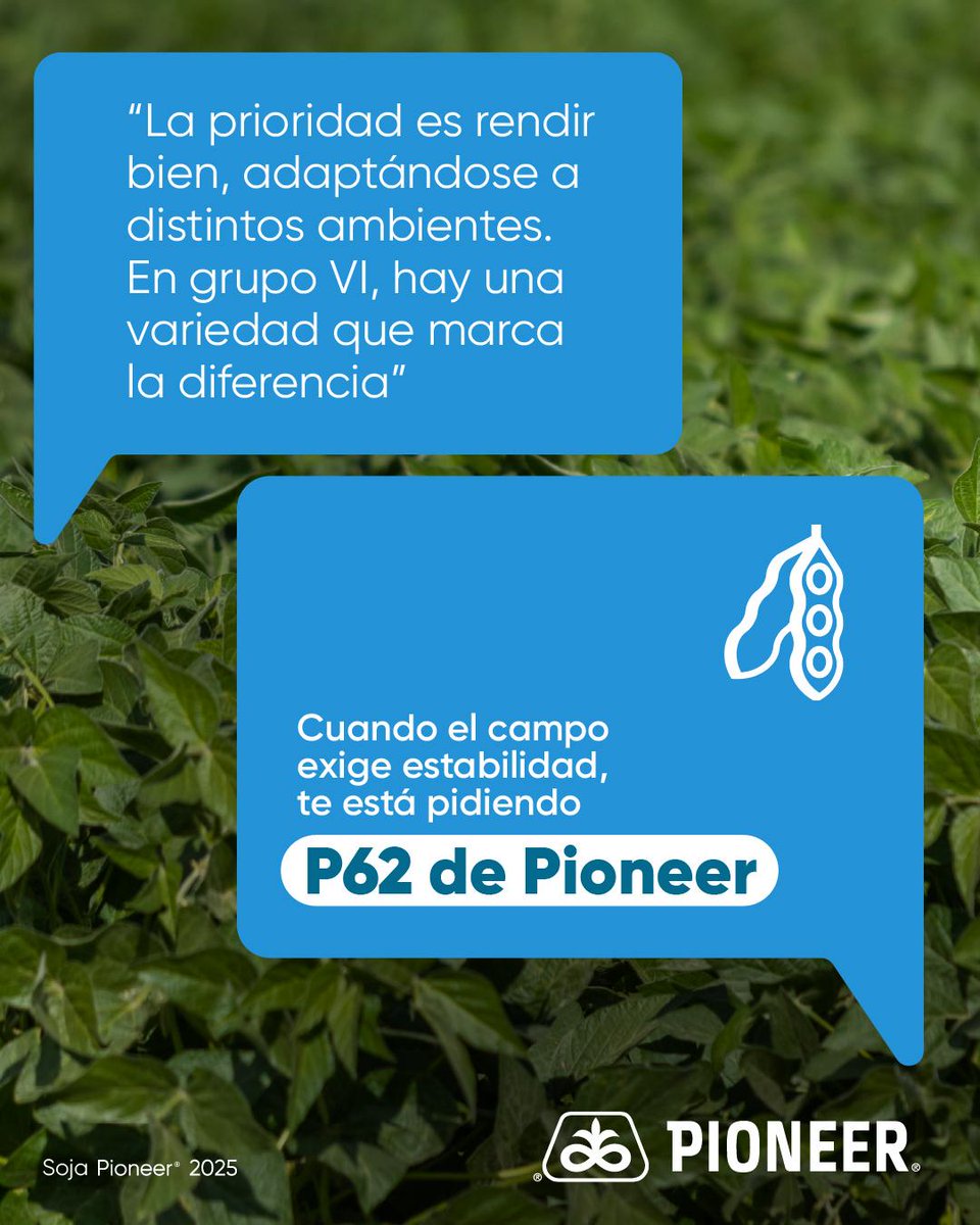 Tu campo te pide una soja con rendimiento y estabilidad. P62A05SE, la grupo VI de Pioneer con tecnología Enlist... rendimiento y estabilidad.