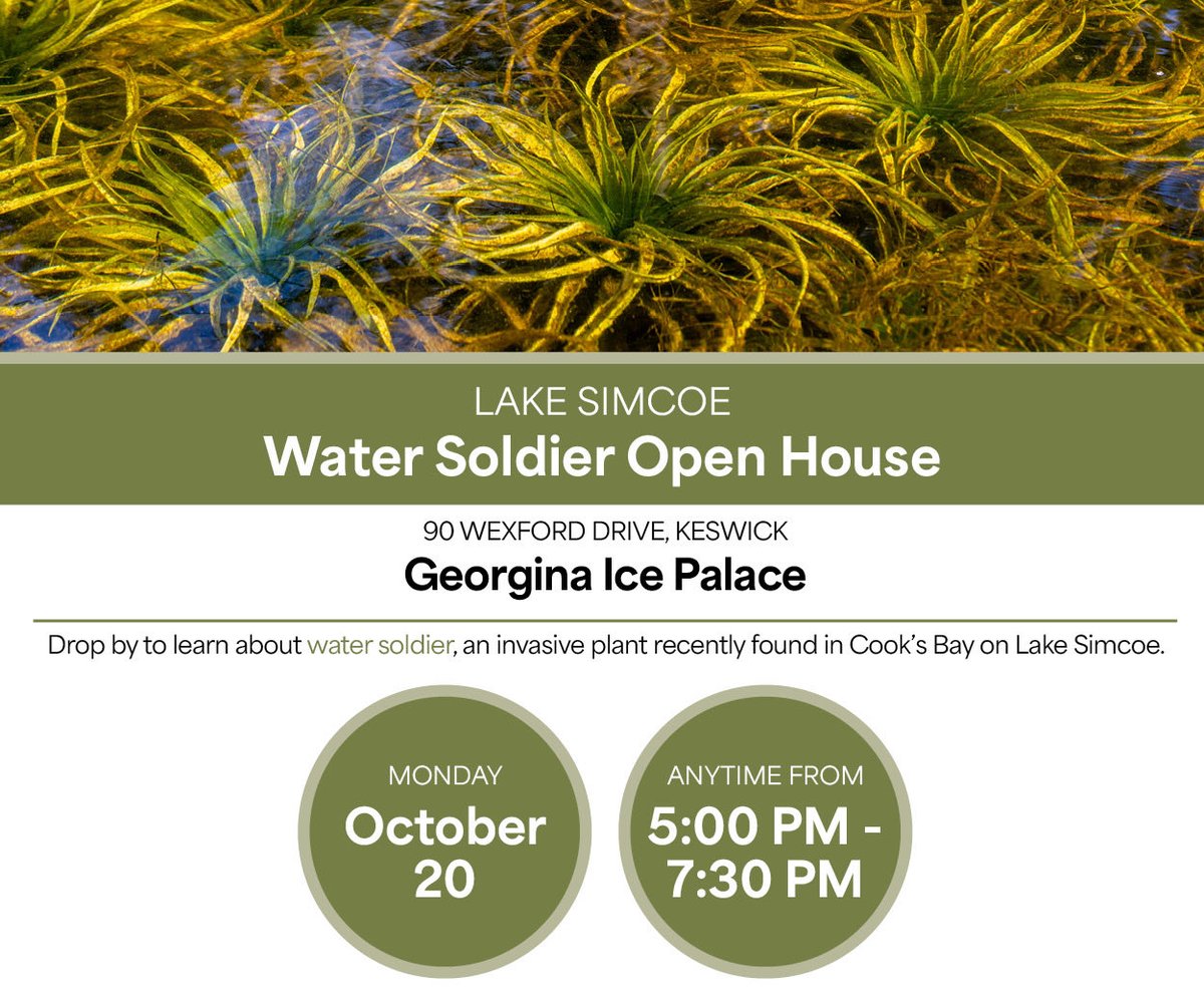 FishHardDave's tweet photo. Attn: All concerned outdoorspersons from around Lake Simcoe!
Stay informed, attend the Water Soldier Open House to learn more about this latest invasive species threat!
Mon. Oct. 20th 5;30 - 7:30 PM
Georgina Ice Palace
90 Wexford Drive, Keswick
#InvasiveSpecies #WaterSoldier https://t.co/5nKTdkD4hv
